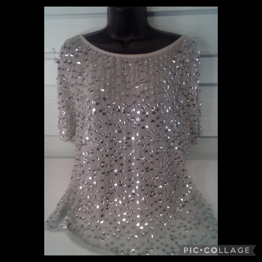Silver Sequence Blouse
